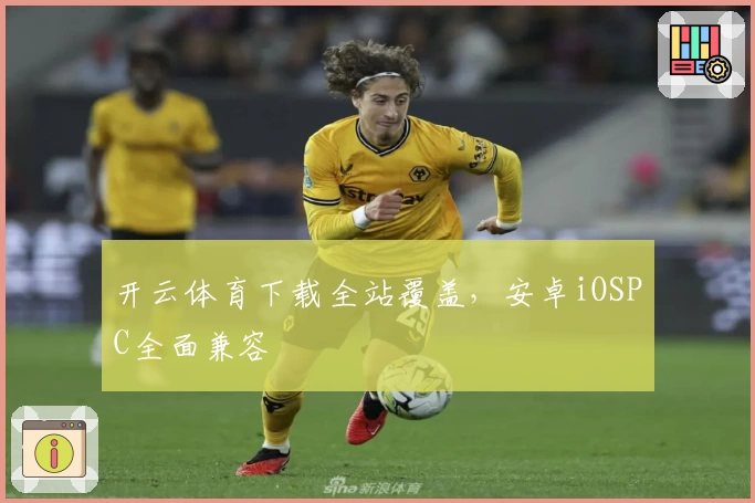 开云体育下载全站覆盖，安卓iOSPC全面兼容