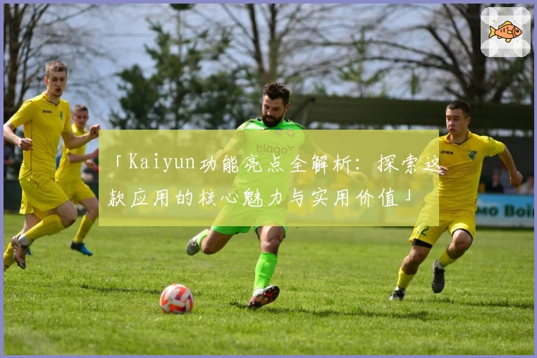 「Kaiyun功能亮点全解析：探索这款应用的核心魅力与实用价值」